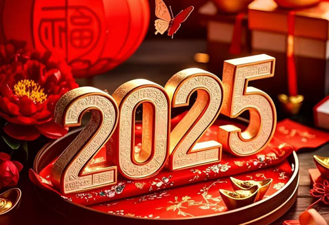 堅持熱愛,奔赴山海,你好,2025!你好，瑞泰風